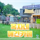 옥자네애견카페 유치원 호텔 미용 이미지