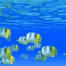 하늘새카페 이미지