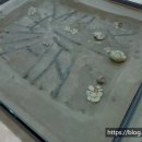 석성중학교 이미지