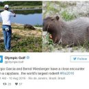 올림픽 골프장 이미지