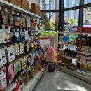 멍냥펫24 이미지