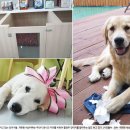 개편한카페 이미지