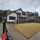 동읍1157 이미지