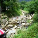 토요산악회(천안/아산) 8월12일 토요주말산행 :천안 광덕산(699.3m) 산행을 다녀와서~~~ 이미지