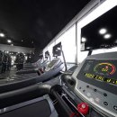 바디메이커 이미지