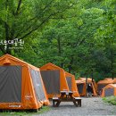서울대공원 캠핑장 이미지