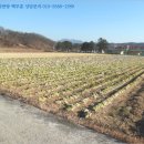 괴산군불정면세평보건진료소 이미지