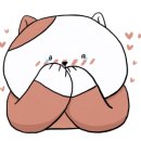 냥이파파 이미지