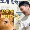 진도개 53카페 | 진도 여행 가볼만한곳 진도개테마파크 후기