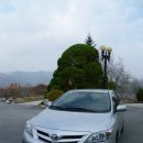 베스트카센타 | 난 캠리 동생 토요타 코롤라 시승 후기