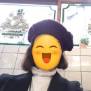 솔 피시 이미지