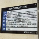 10시화요 성인요가 | 삼송플라잉요가 매력에 빠져버린 아임플라잉요가 내돈내산 후기