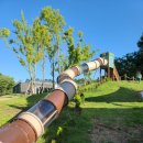 처음, 태권도장 이미지