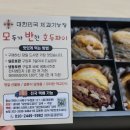 모두가반한호두파이