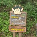 섬진강도깨비마을 유아숲체험원 이미지