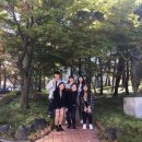 네츄럴테라피