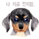 미미미헤어