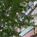 삼호종합상가 이미지