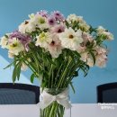 세복농장 이미지