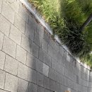 다우리유치원 이미지