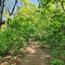 현무체육공원 이미지