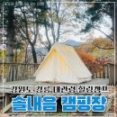 솔내음캠핑장 네이버블로그