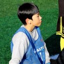 2023 대전광역시유소년축구대회(11월11일/대전대학교종합운동장) 이미지