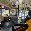 동천 수변공원 | 가을 순천 여행 감성 힐링 1박2일 - 2일차