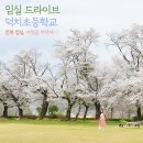 고목초등학교 이미지