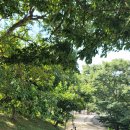 토다통나무펜션 이미지