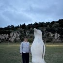 펭귄 | 뉴질랜드 남섬 오아마루 펭귄 후기 (위치, 팁)