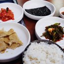 먹보 뒷고기 티스토리