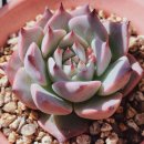 엔시스(주) 이미지