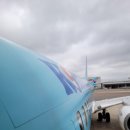 꿈에본꽃돼지 이미지