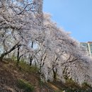 리틀하노이수원경희대점