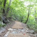 백운산등산로6코스 이트레블뉴스