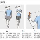 잘 안 낫는 어지럼증, 균형감각 키우는 재활 운동이 '특효약' 2019.04.30 이미지