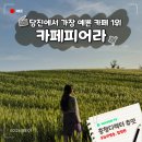합덕오토바이 | 당진 5월 데이트 청보리밭 카페피어라 주말방문 웨이팅 꿀팁 후기