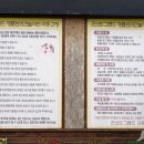 도그랜드 이미지