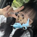 카게로우 | 여행 숙소 추천 | 와카야마 토레토레 시장 | 카게로우 카페 | 산단베키 절벽 | 와카야마 시라하마...