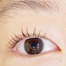 (대면) 누구나 손 쉽게 어반 드로잉(야간) | [대구속눈썹펌 이퓨브로우]수능 끝내고 이뻐지고싶은 딸래미들에겐 속눈썹펌이 최고