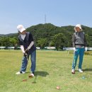 파크골프 더페어
