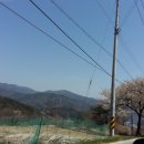 엔젤에너지 발전소 이미지