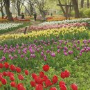 용비쉼터 이미지