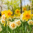 구로-구로-구로-1799 | 포브 볼레 프로의 계절! 아기랑 서울 근교 봄 나들이 장소 추천