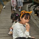 호신태권도 이미지