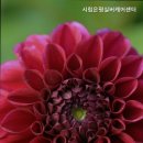 은평구 요양원 찾는다면 시립은평실버케어센터 편안한 노후를 위한 선택