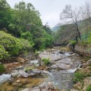 서울동산고등학교 이미지