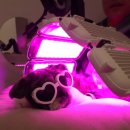 라퓨클레르 동물피부클리닉 이미지