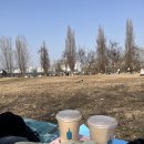 스머프리빙 | [2025] 끝내주게 먹고 놀고 본 내향인 노는 일지